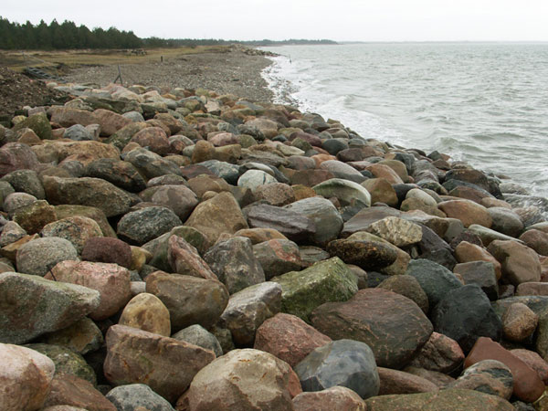 Hættemågevej