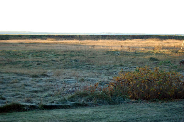 November 2010