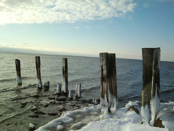 Vinter 2010