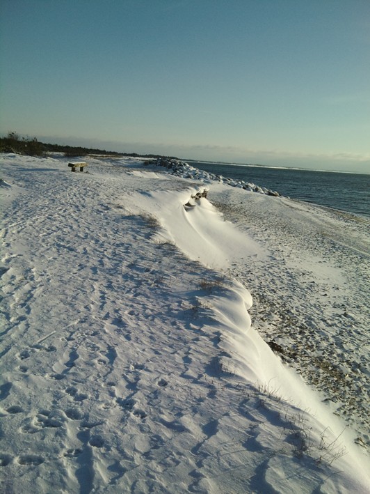 Vinter 2010