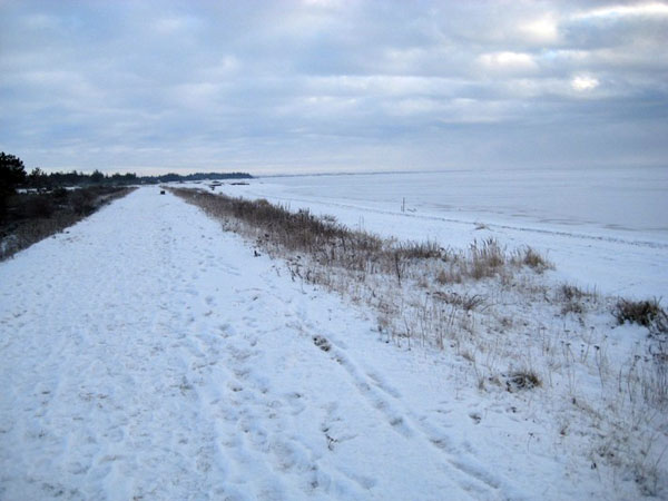 Vinter 2010