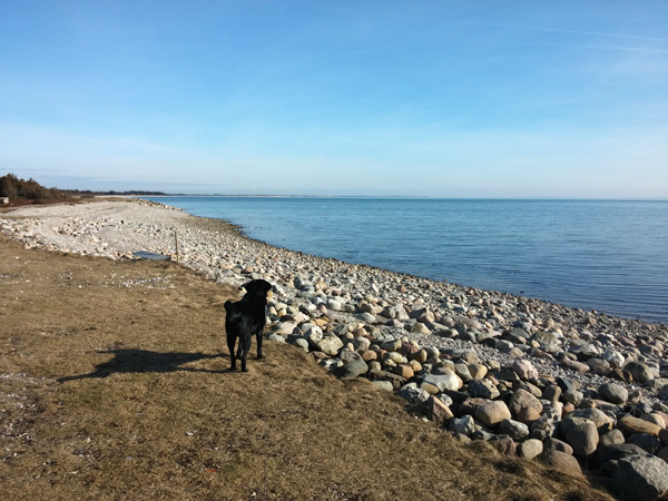 En tur ved stranden