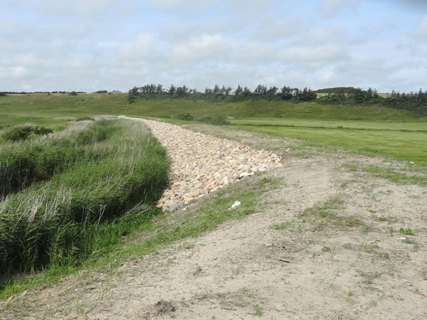Diget ved Sindrup Vejle