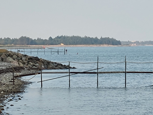 Badebroer